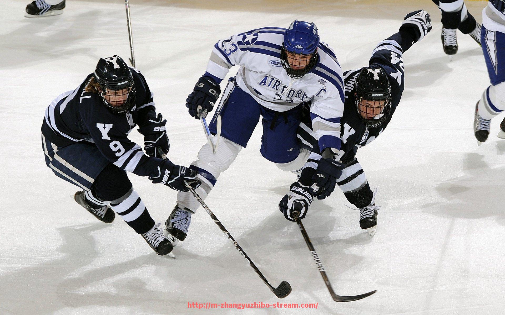 章鱼直播-火箭队网友热议话题及社交媒体舆论分析